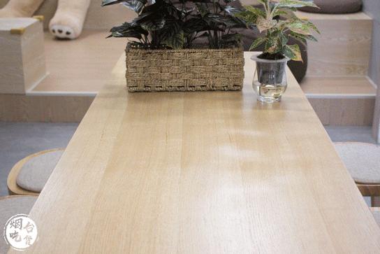 泉州泰茶,素匠泰茶为何这么火