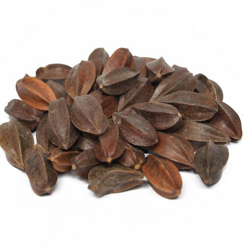 中药材使君子怎么用,使君子是中药材吗