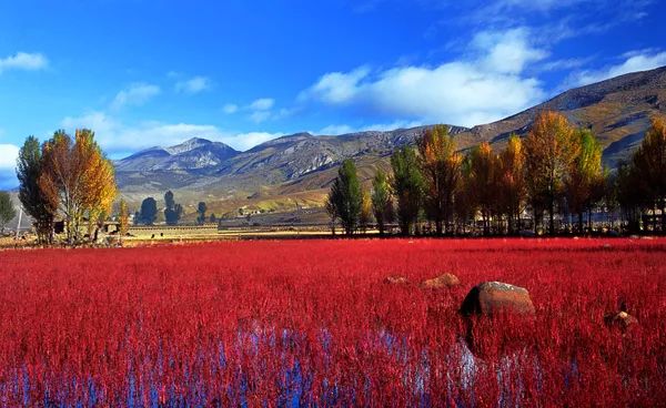 往后余生，我想和你有个家，就在稻城亚丁！