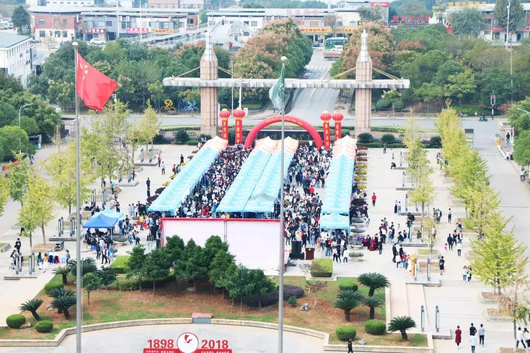 百团大战聚在一起,百团大战开始行动