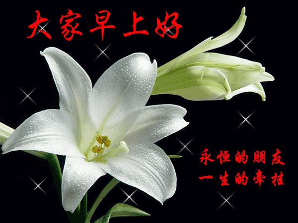 当第一曲铃声悠然响起,那是我的祝福早早来到,愿你拥有一天好心情