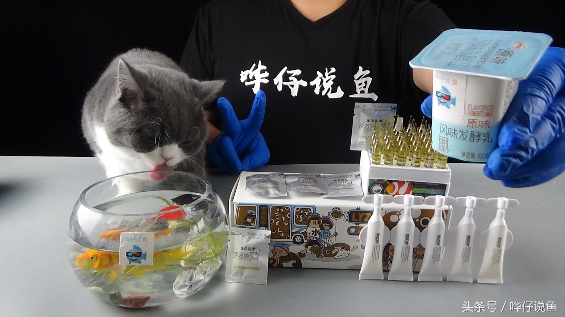 哗仔独家养水秘籍,哗仔独家开缸养水秘籍