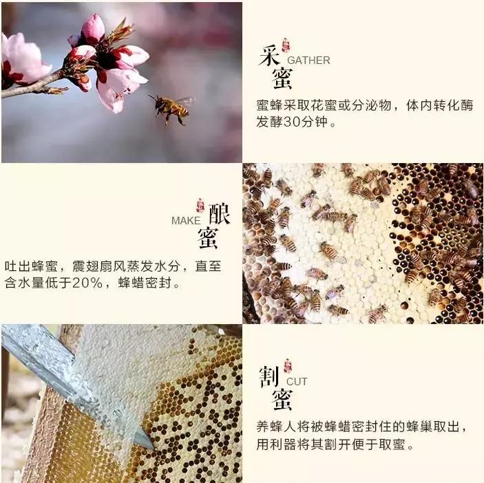 土蜂蜜营养有什么区别,土蜂蜜比普通蜂蜜营养价值更高吗