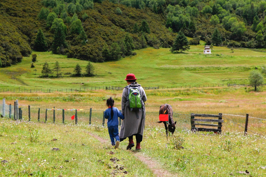 丝绸之路中唯一一条道路遗址,丝绸之路指哪些路