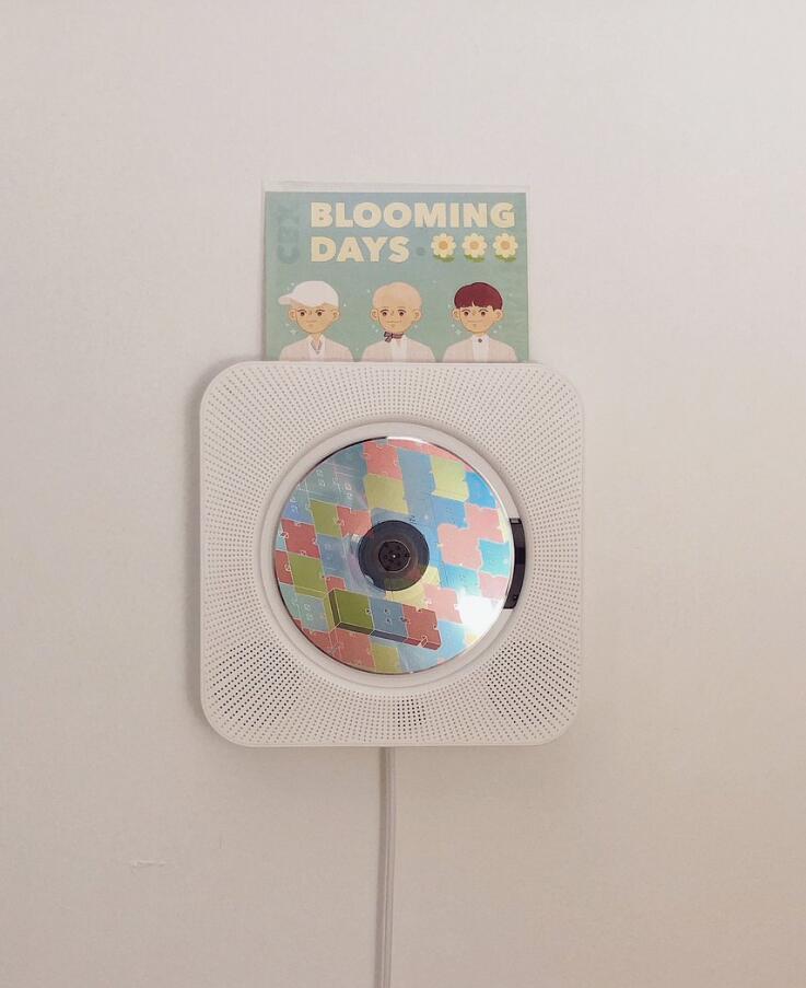 我的爱丽棒和exo的爱丽棒,exo爱丽棒装扮