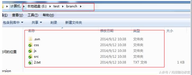 svn使用教程总结,ideasvn使用教程