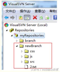 svn使用教程总结,ideasvn使用教程