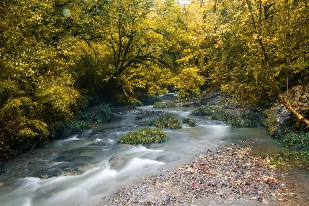 成都出发哪条线路秋景最美,成都出发两小时看满山红叶
