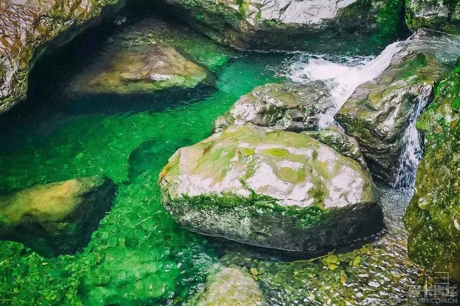 成都出发哪条线路秋景最美,成都出发两小时看满山红叶