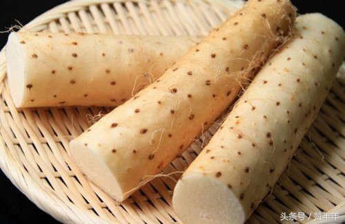 农人创业项目推荐,农人创业创新项目