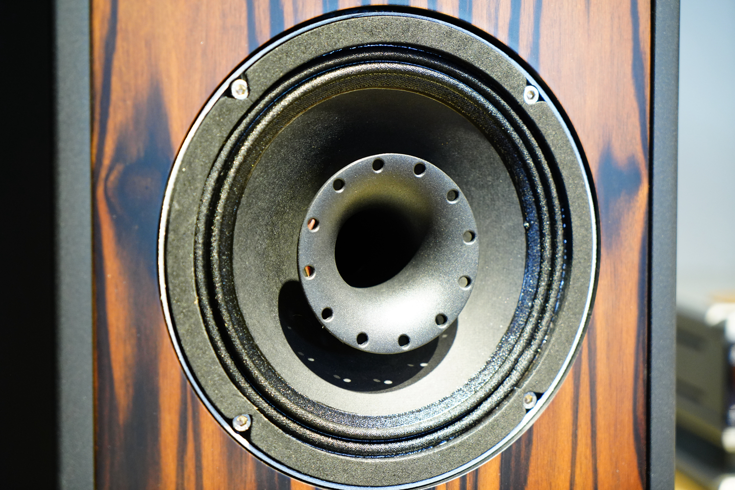 如美玉,德国dynamikks音箱