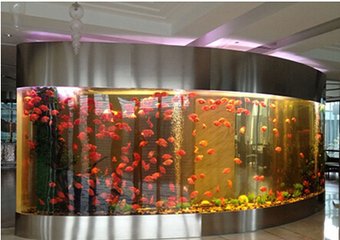 鱼缸摆放风水有什么讲究,鱼缸店内摆放位置风水图
