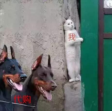 朋友圈代购需要交税吗,代购进口产品要不要上税