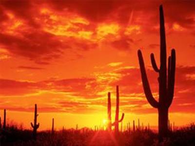 数码单反摄影教程,数码单反摄影进阶完全教程