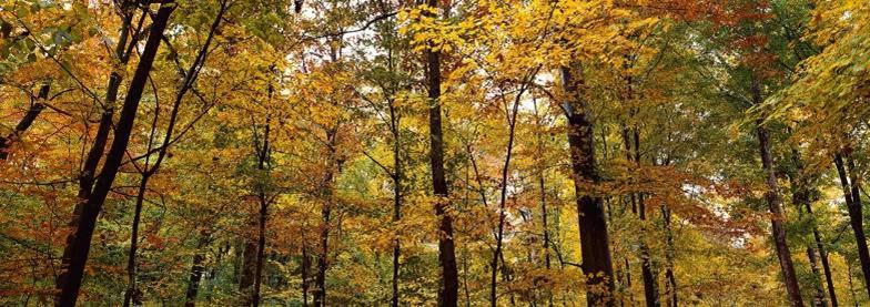 数码单反摄影教程,数码单反摄影进阶完全教程