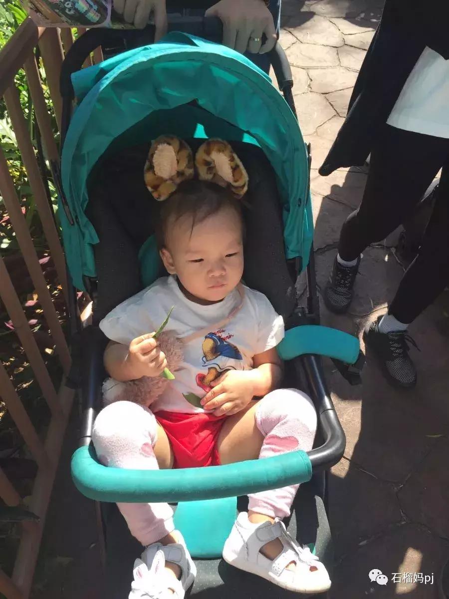 长隆欢乐世界和长隆野生动物园,广州长隆野生动物园侏罗纪公园