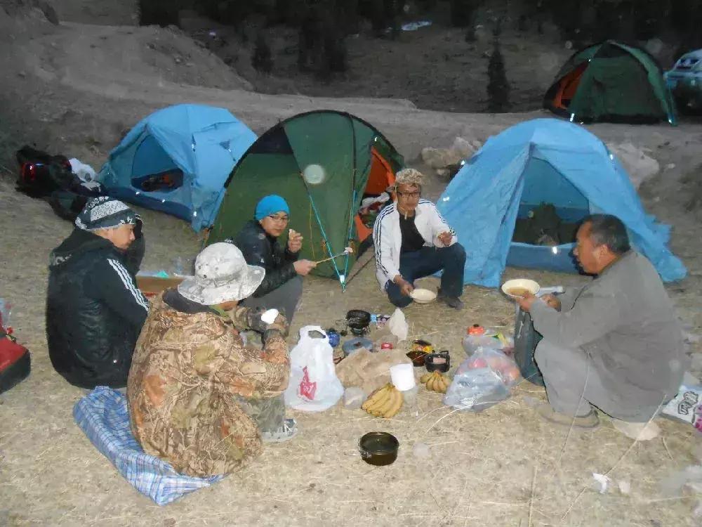 在山里遇到野猪怎么保护自己,在野外踩到蛇窝了怎么办