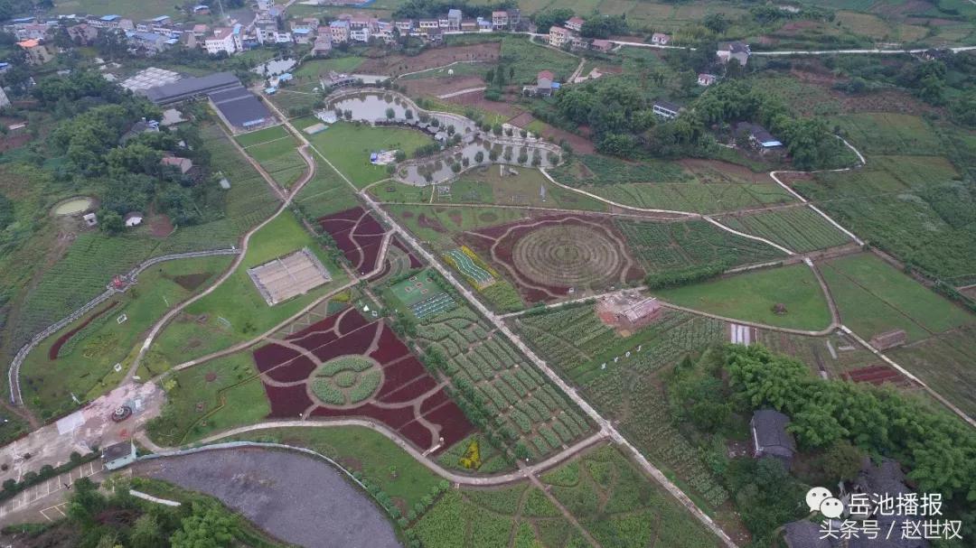 岳池最近发展,岳池未来如何发展