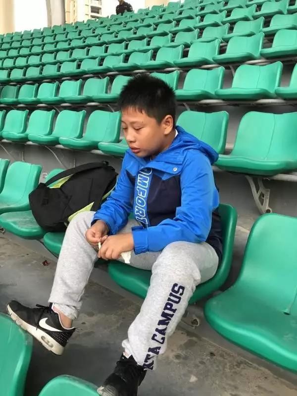 秋日中的一抹紫色,秋日里的一抹嫩绿