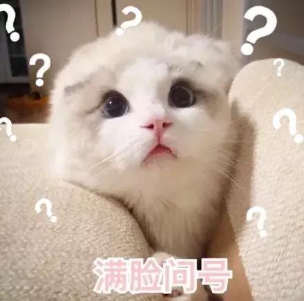 18年的锦鲤活动有哪些,锦鲤的活动在哪里