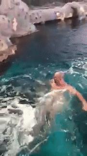 一男子跳进鲨鱼池,美国一男子跳进水族馆鱼缸