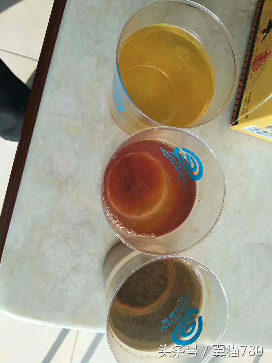 翼猫科技——让人类喝上安全的每一滴水