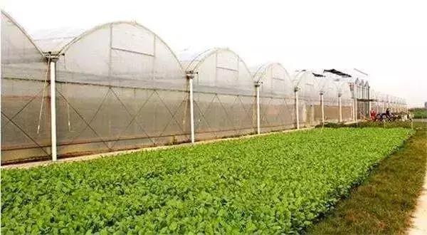 家庭农场补贴多还是合作社补贴多,2019年农业合作社补贴政策