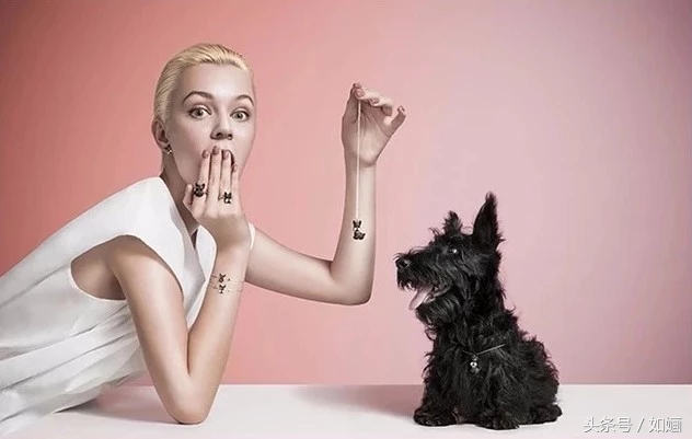 朱一龙装饰品,朱一龙人生大事同款手镯