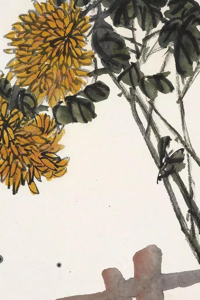 吴昌硕菊花国画作品欣赏,吴昌硕画的菊花