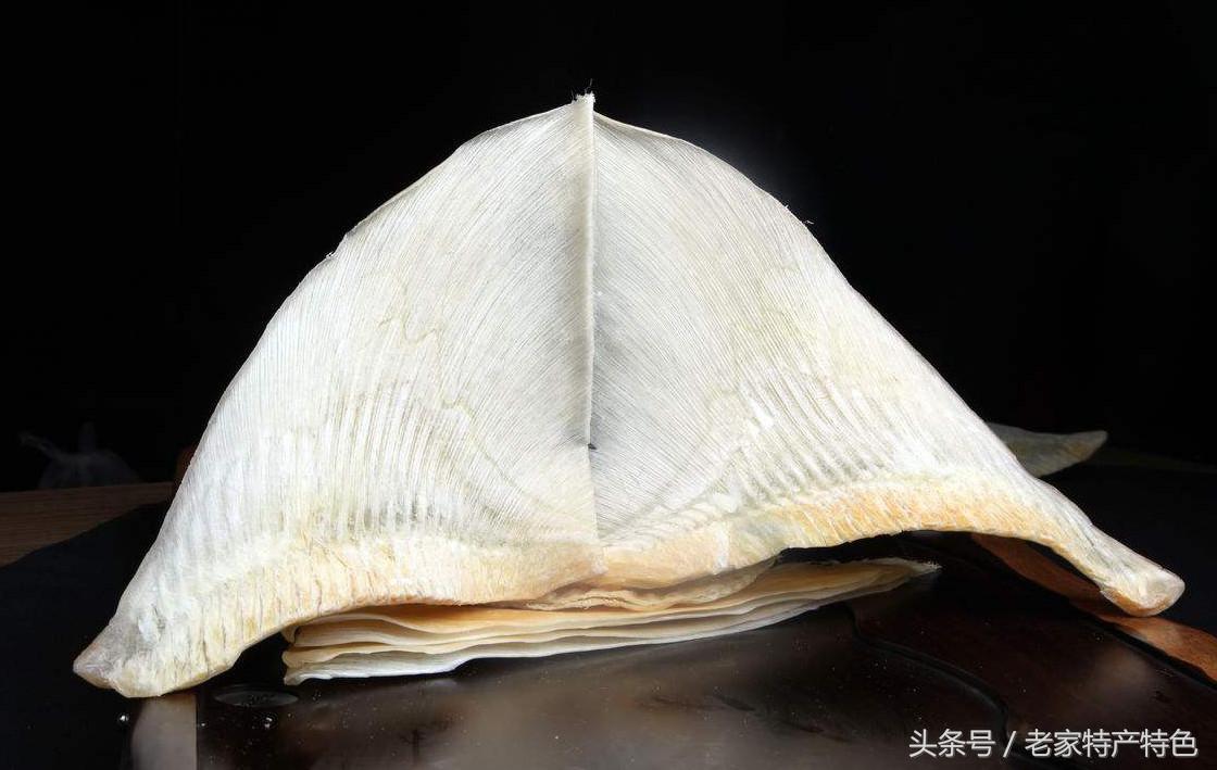 鱼翅的营养与骨头差不多,鱼翅的营养比不过一个鸡蛋吗