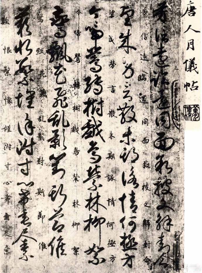 一幅书法草书的作品含有多种要素,一幅作品中既有草书又有楷书