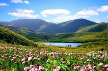 山西晋城市概况,晋城市概况