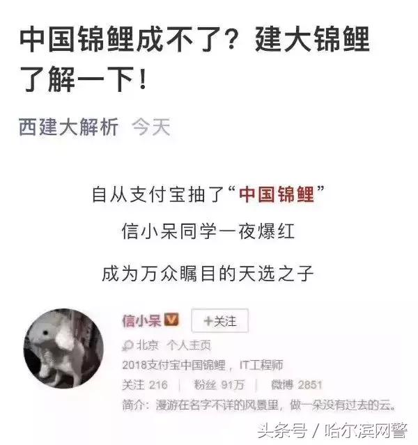 中国锦鲤的套路有哪些呢,中国锦鲤为什么火了