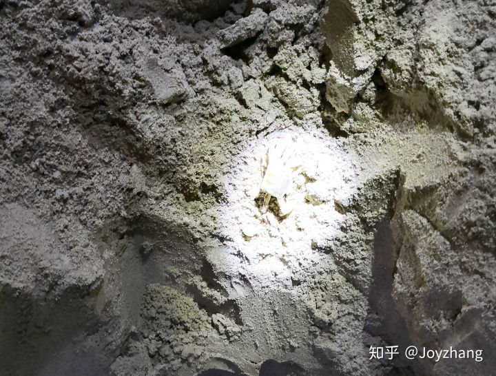 游历抓住怪鱼,游历抓怪鱼逆水寒