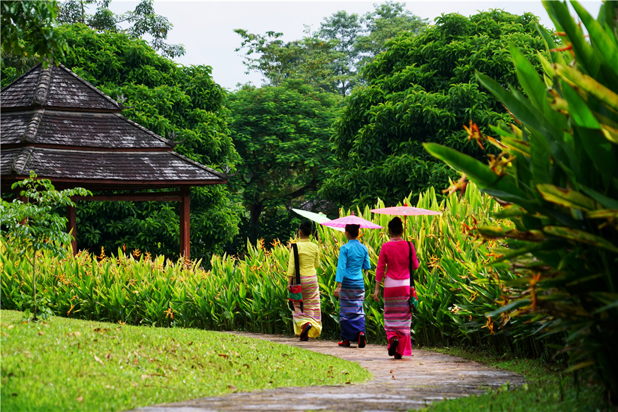 秀丽神奇的西双版纳完整版,云南西双版纳神奇的地方
