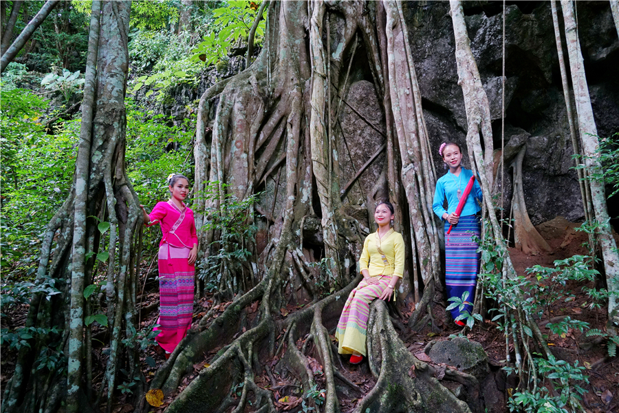 秀丽神奇的西双版纳完整版,云南西双版纳神奇的地方