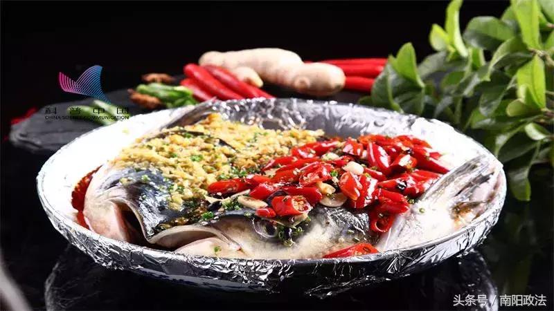 网传吃鱼能让人变聪明？终于找到提高智商的方法了……