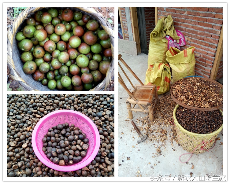 月子油什么油最好,月子万能油