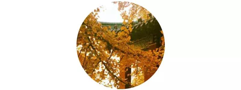 秋意浓，又到了泡温泉的好时节！南京汤山可真是个泡温泉的好地方