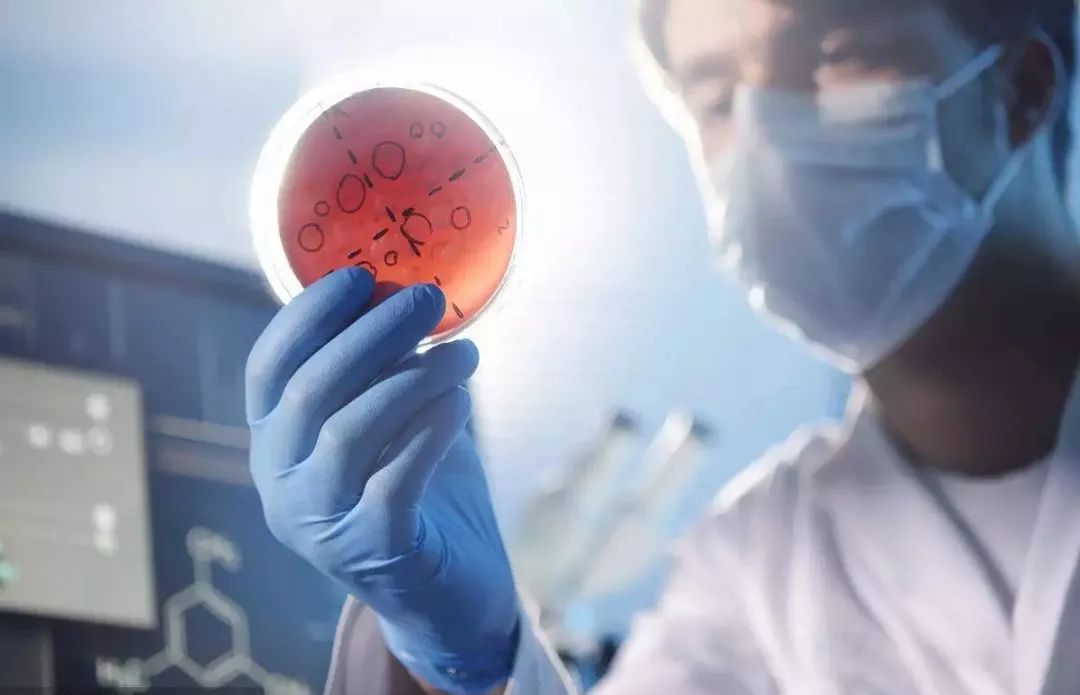 分娩肠道菌群,肠道粘连与剖腹产的关系