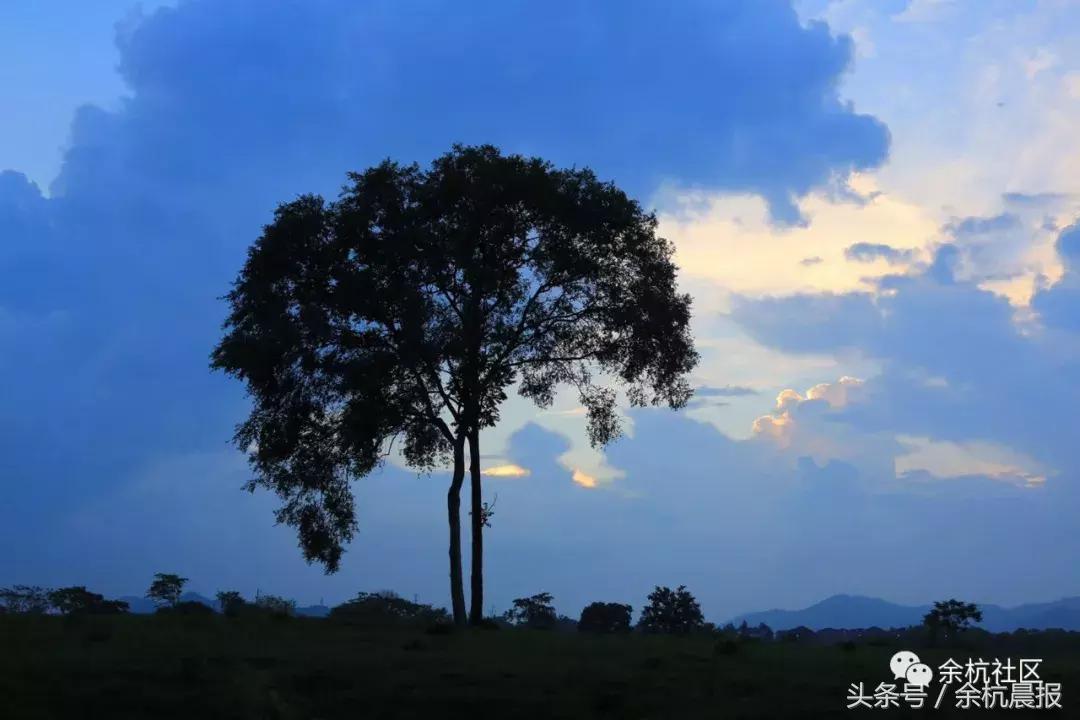 9090000㎡！余杭新增一大型公园，1299个足球场大！