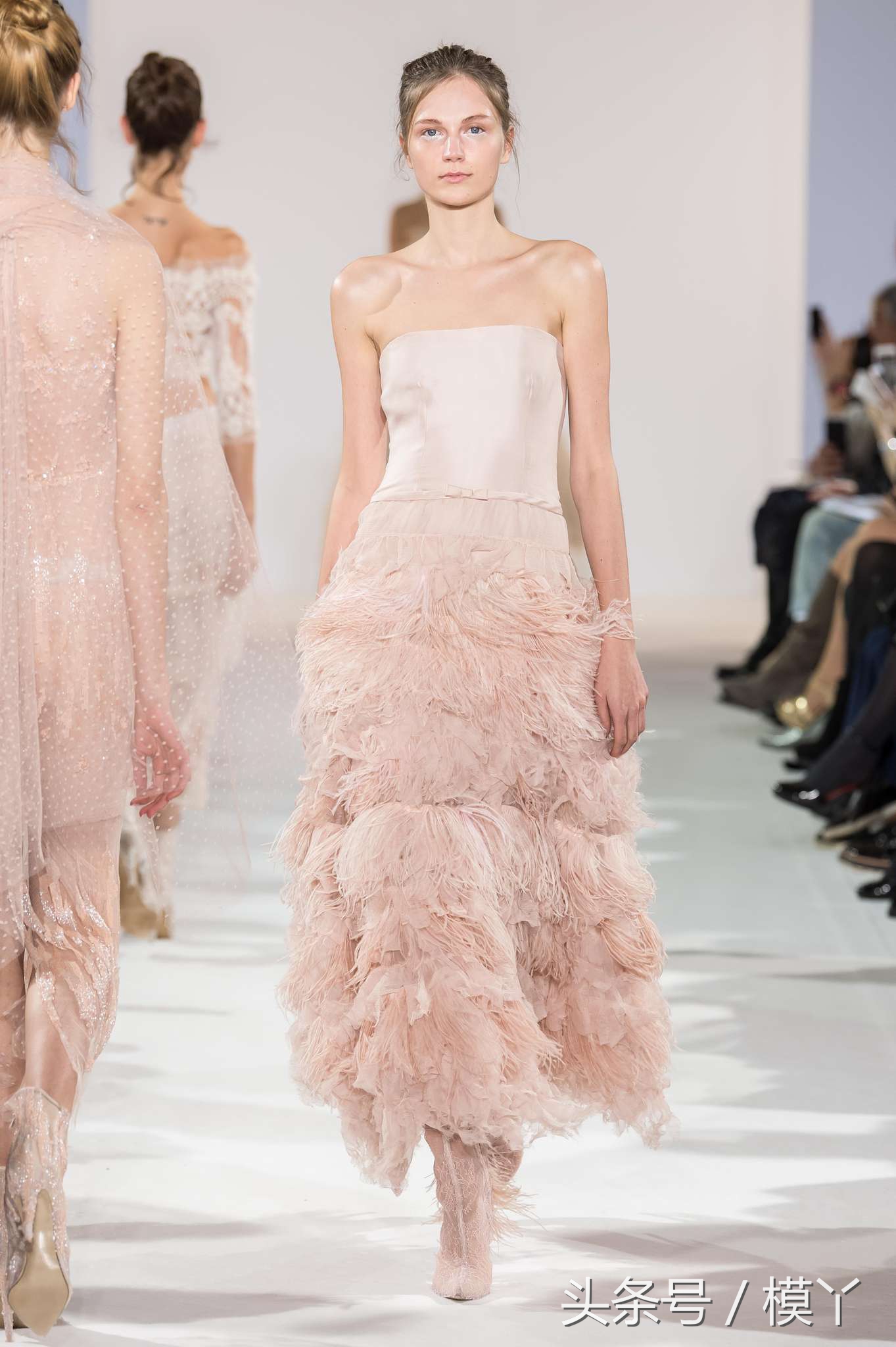 celiakritharioti楂樺畾,celiakritharioti濠氱罕