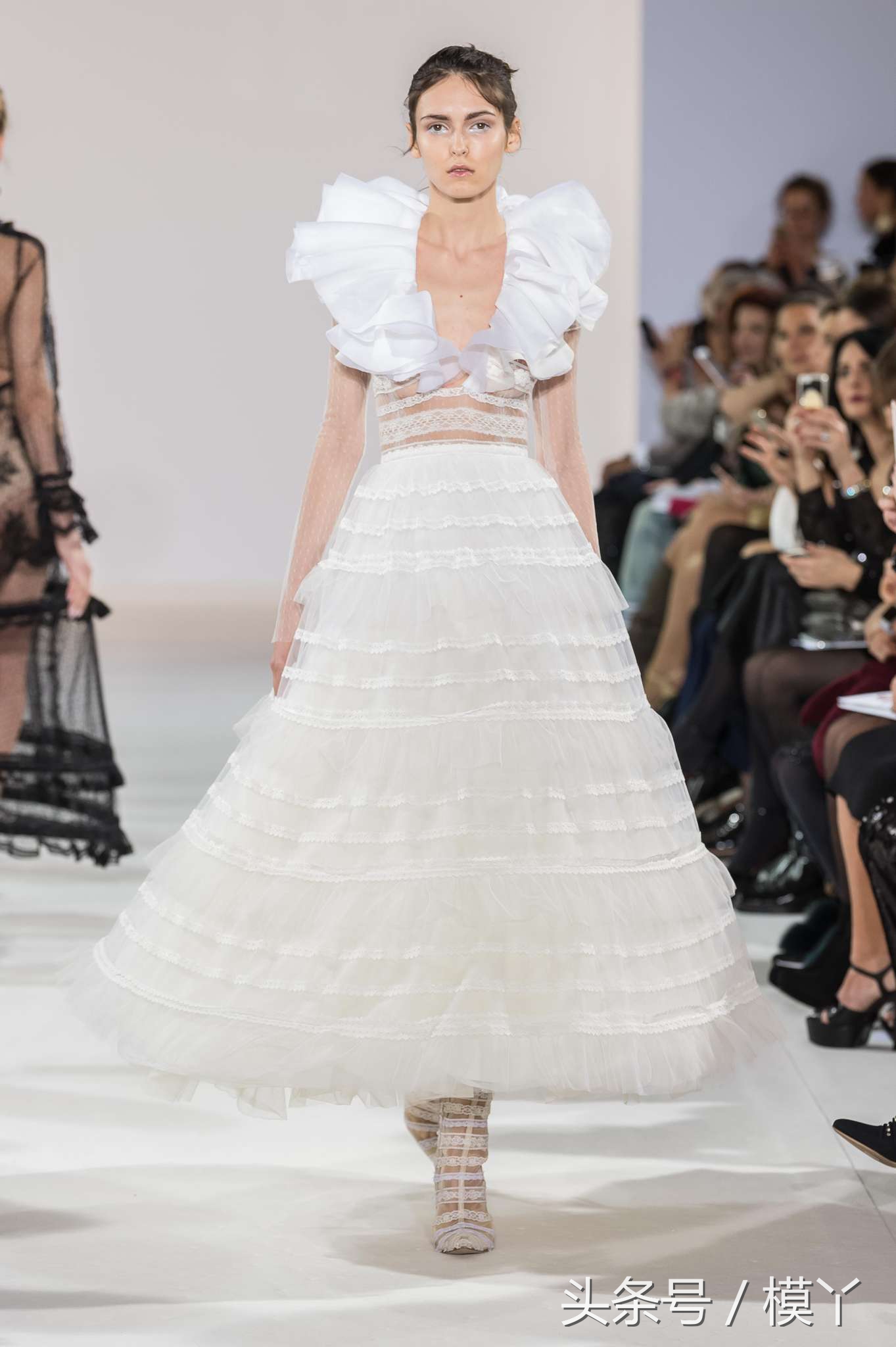 celiakritharioti楂樺畾,celiakritharioti濠氱罕