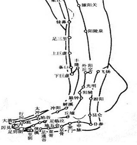 有哪些常见病用到中医穴位,42条实用穴位干货
