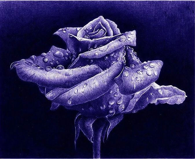 八大圆珠笔,顶级圆珠笔画欣赏