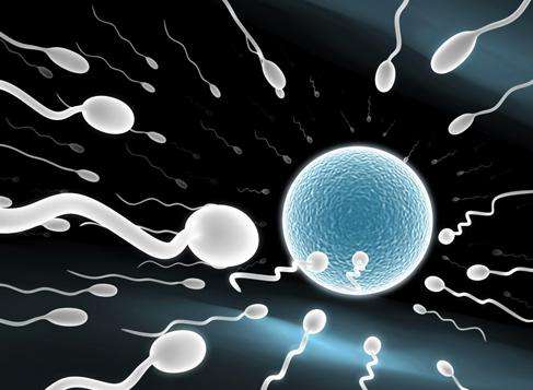 人体各器官过了保质期该怎么办,人体各个器官的保质期有多久