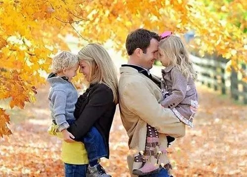 早教一般学什么课程比较好,手把手教你在家早教