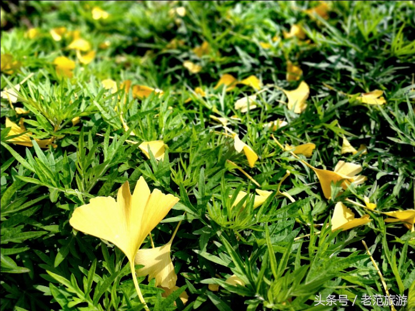 赏山赏水赏风景,凤凰山旅游温泉