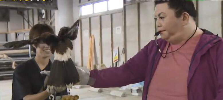 日本二次元智能机器人,日本3d智能机器人