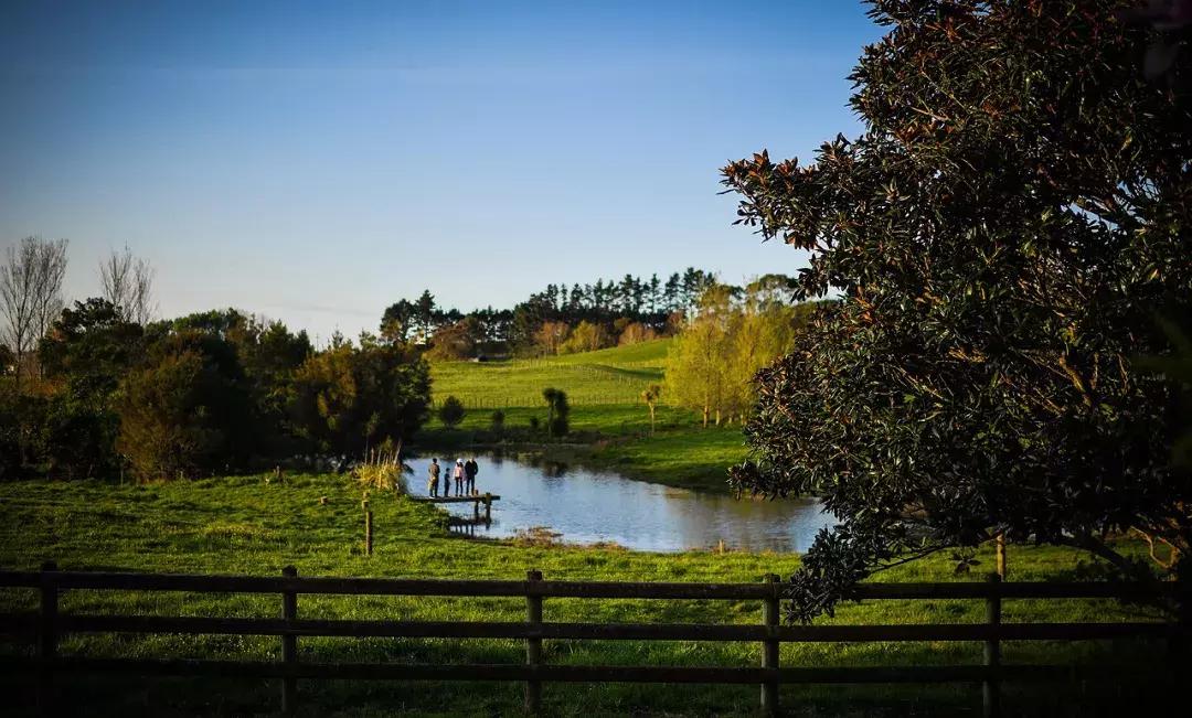 有超大草坪的庄园,大型生态农场庄园10万亩